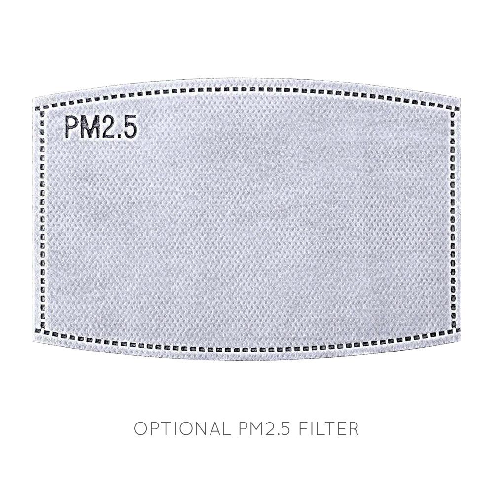 Face Mask Filters-Filter PM2.5